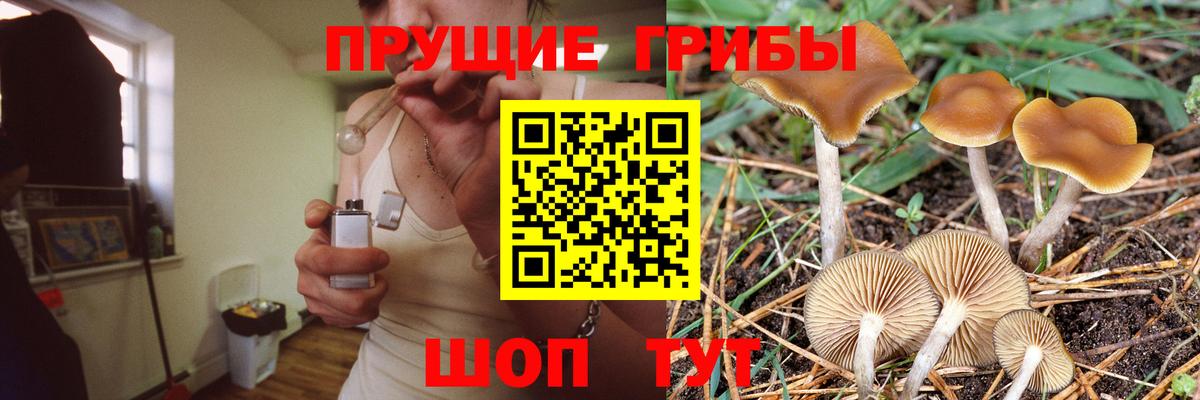 Псилоцибиновые грибы Magic Shrooms  Вход с VPN  Туапсе 